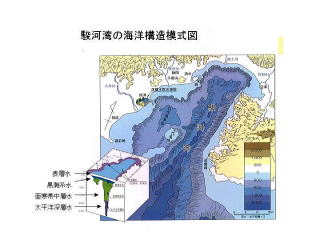 駿河湾の海洋構造模型図